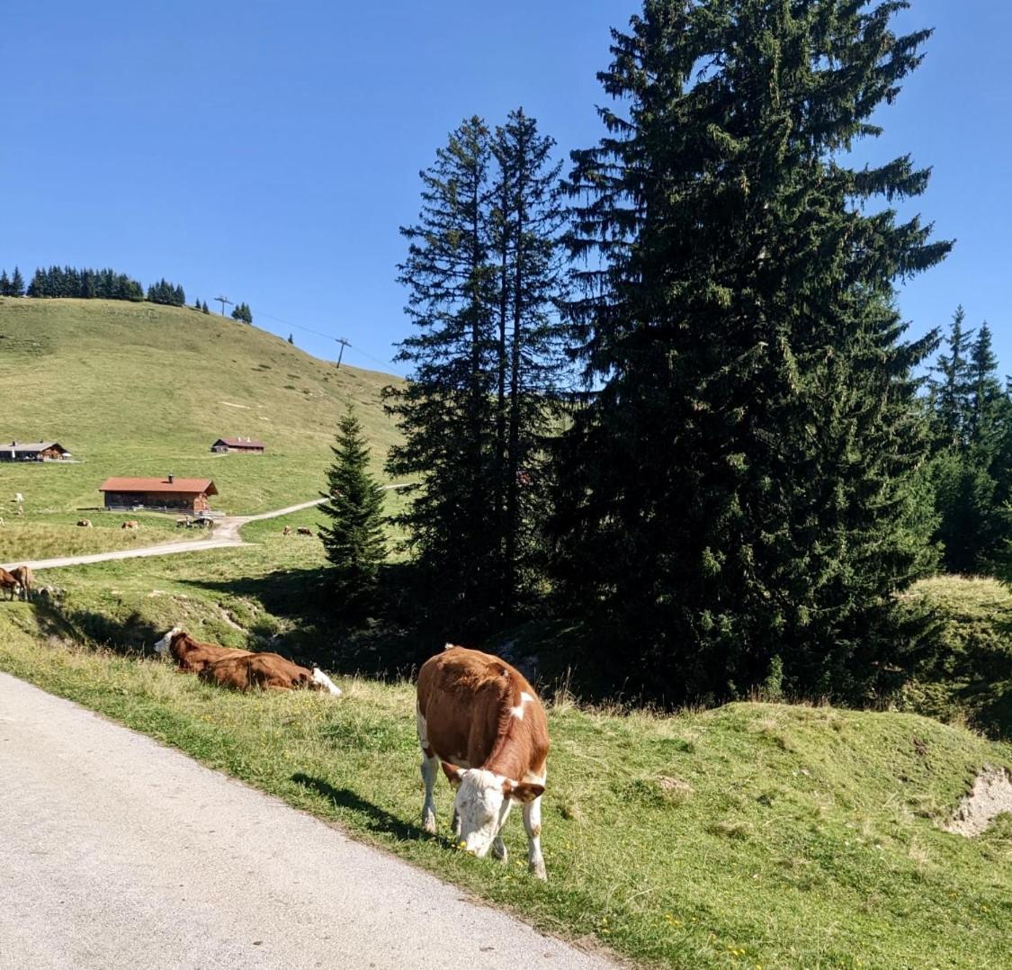 Ferien Am Sonnberg Lägenhet Unken Exteriör bild