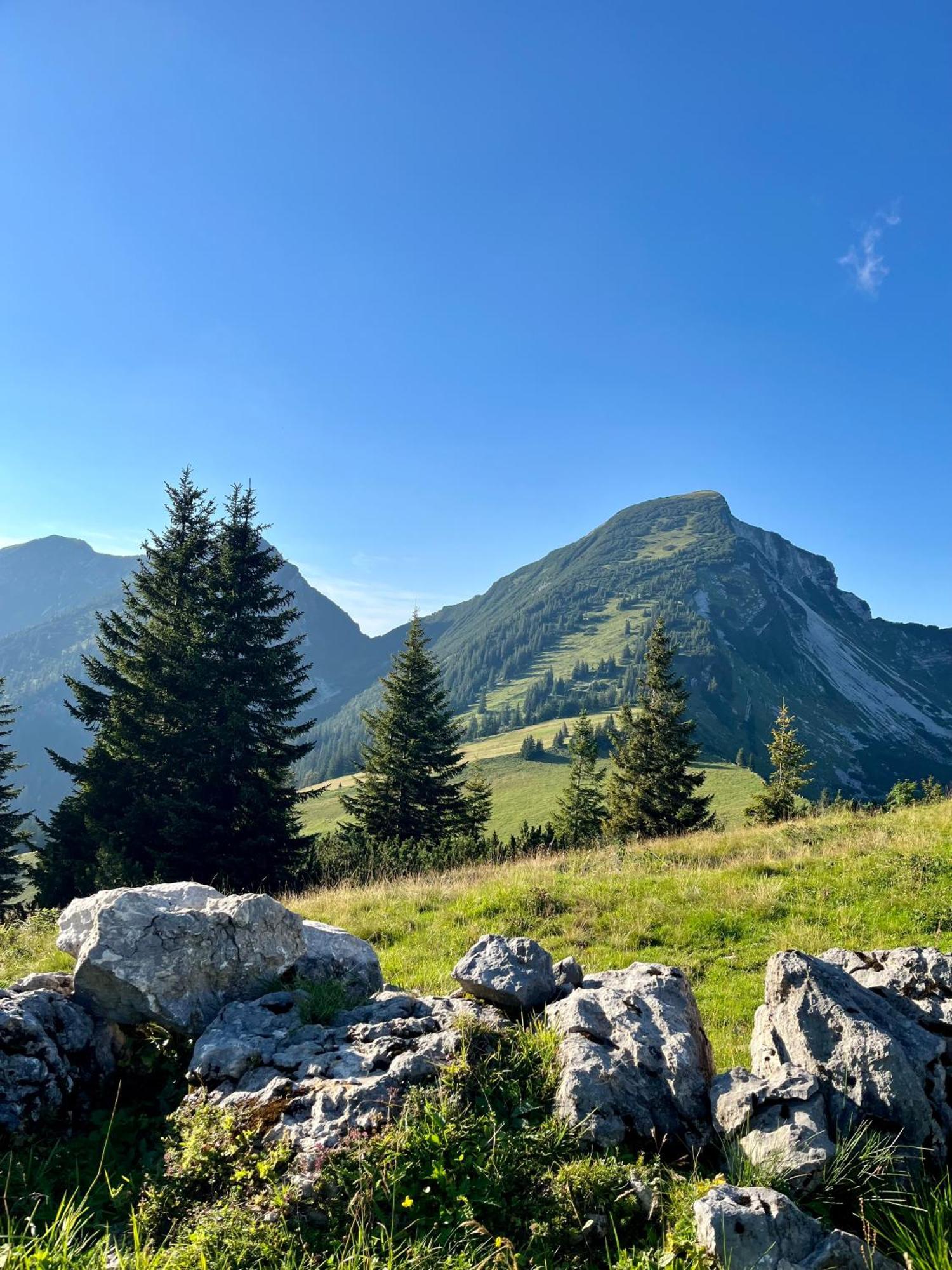 Ferien Am Sonnberg Lägenhet Unken Exteriör bild